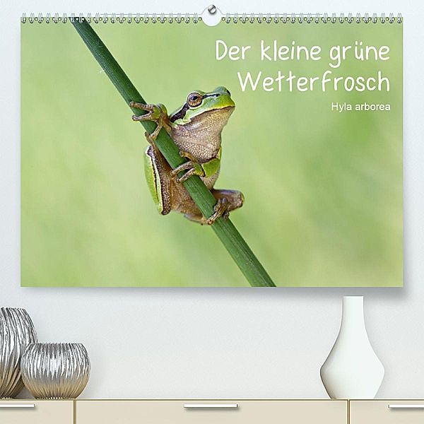 Der kleine grüne Wetterfrosch(Premium, hochwertiger DIN A2 Wandkalender 2020, Kunstdruck in Hochglanz), Beate Wurster