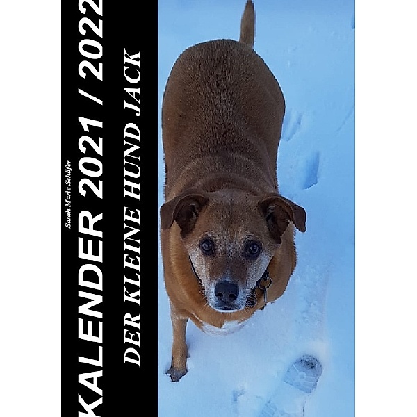 Der kleine Hund Jack - Kalender 2021 / 2022, Sarah Schäfer