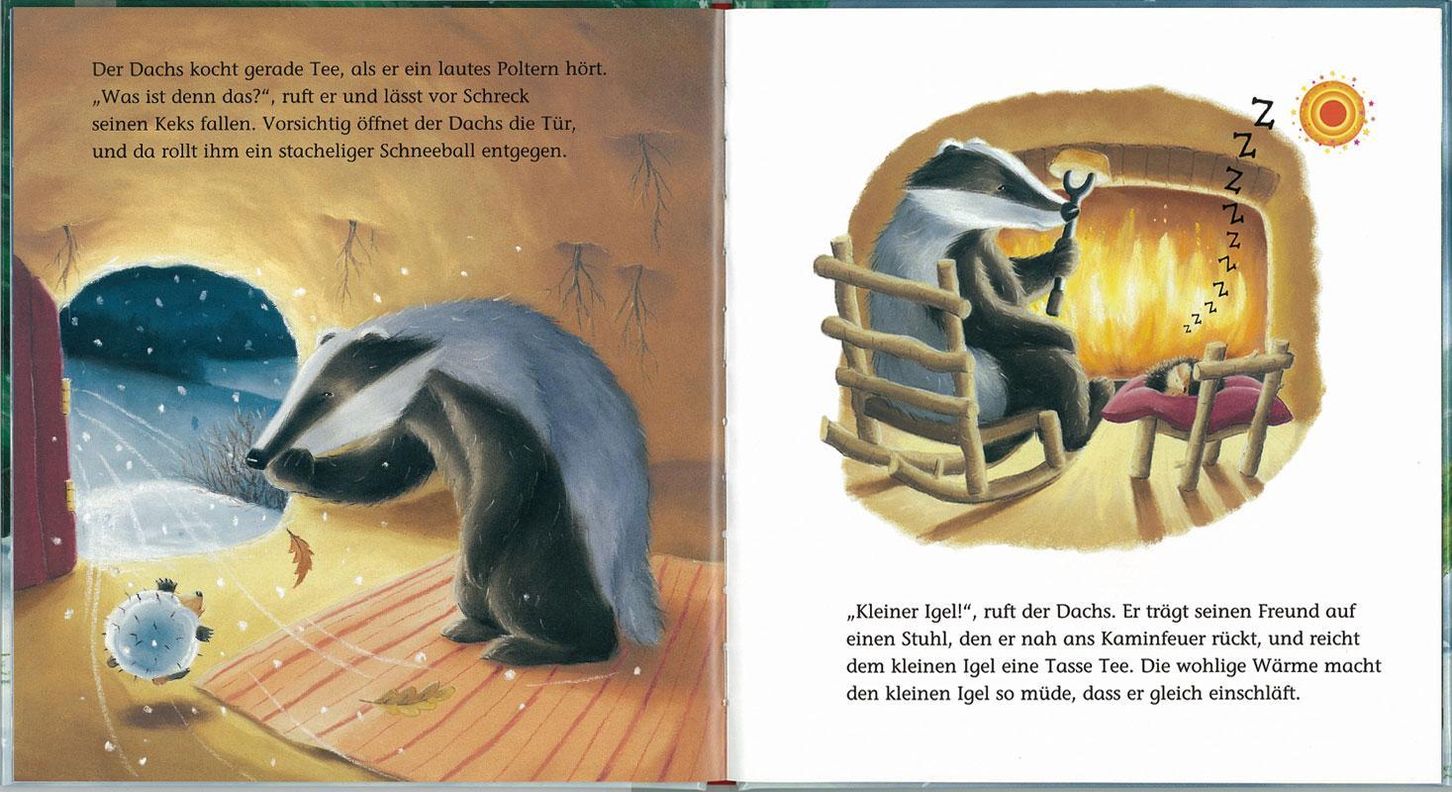 Der kleine Igel und das grosse Geschenk Buch versandkostenfrei bestellen