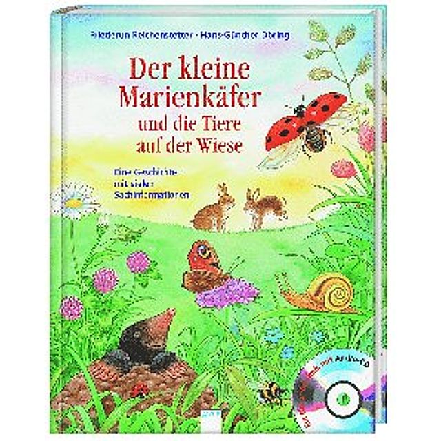 Der kleine Marienkäfer und die Tiere auf der Wiese Buch versandkostenfrei