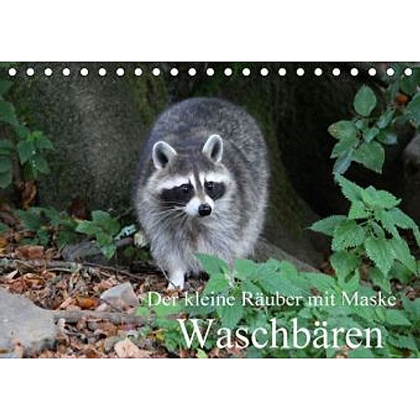Der kleine Räuber mit Maske - Waschbären (Tischkalender 2015 DIN A5 quer), Arno Klatt