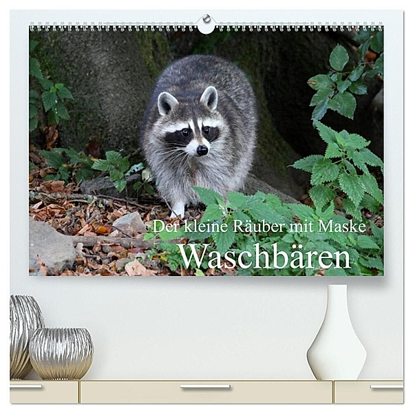 Der kleine Räuber mit Maske - Waschbären (hochwertiger Premium Wandkalender 2024 DIN A2 quer), Kunstdruck in Hochglanz, Arno Klatt
