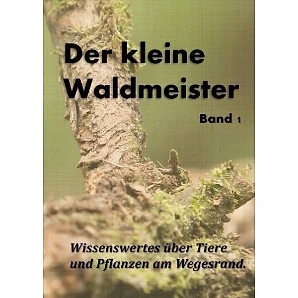 Der kleine Waldmeister, Daniel Bächer