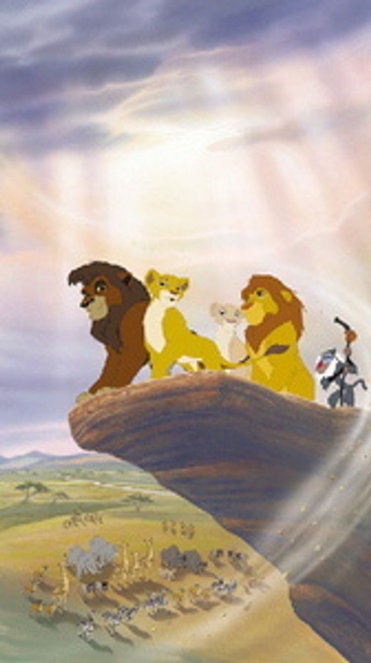 Der König der Löwen 2 - Simbas Königreich DVD | Weltbild.ch