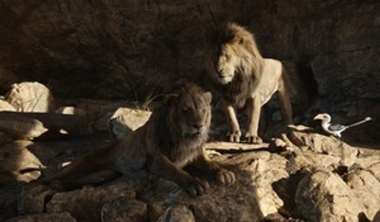Der König der Löwen 2019 DVD bei Weltbild.de bestellen