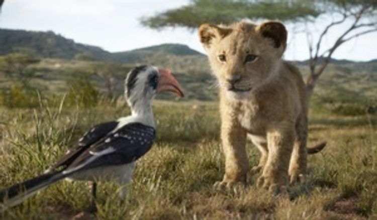 Der König der Löwen 2019 DVD bei Weltbild.de bestellen