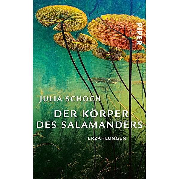 Der Körper des Salamanders, Julia Schoch