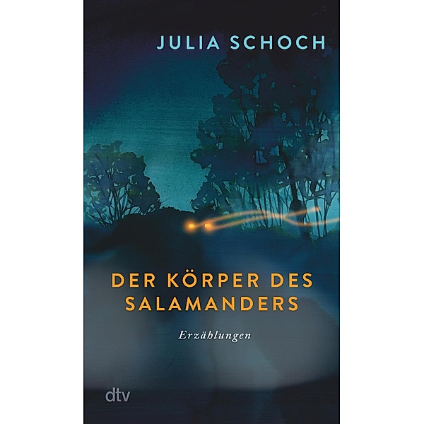 Der Körper des Salamanders, Julia Schoch