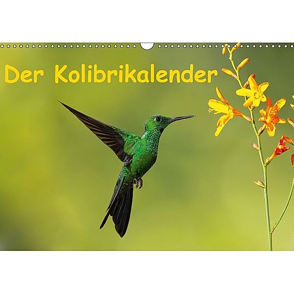 Der Kolibrikalender (Wandkalender 2018 DIN A3 quer), Akrema-Photography