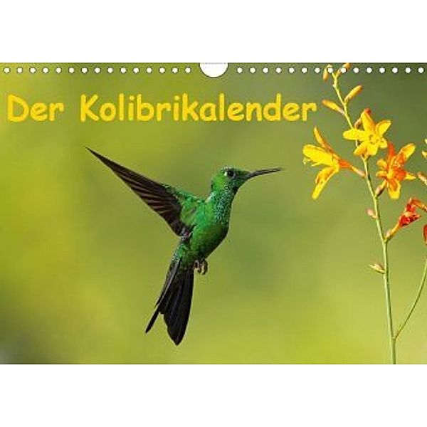 Der Kolibrikalender (Wandkalender 2020 DIN A4 quer)