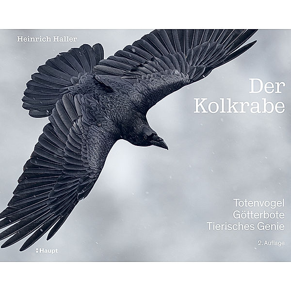 Der Kolkrabe - Totenvogel, Götterbote, tierisches Genie, Heinrich Haller