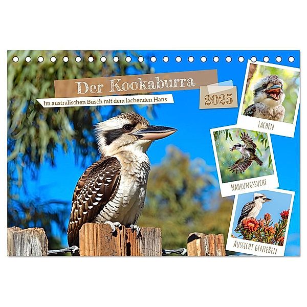 Der Kookaburra - Im australischen Busch mit dem lachenden Hans (Tischkalender 2025 DIN A5 quer), CALVENDO Monatskalender, Calvendo, Anja Frost