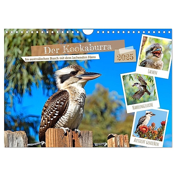 Der Kookaburra - Im australischen Busch mit dem lachenden Hans (Wandkalender 2025 DIN A4 quer), CALVENDO Monatskalender, Calvendo, Anja Frost