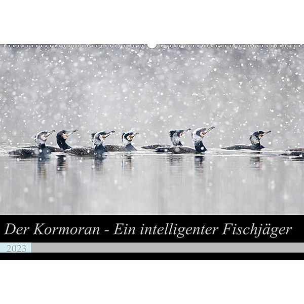 Der Kormoran - Ein intelligenter Fischjäger (Wandkalender 2023 DIN A2 quer), Wilfried Martin
