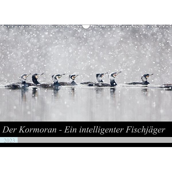 Der Kormoran - Ein intelligenter Fischjäger (Wandkalender 2023 DIN A3 quer), Wilfried Martin