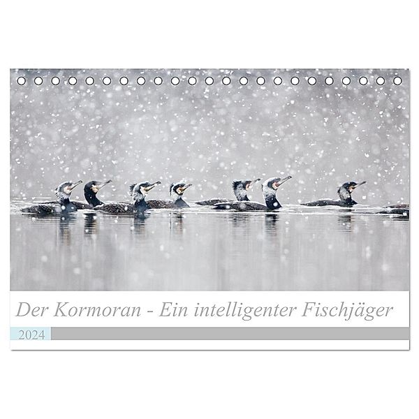 Der Kormoran - Ein intelligenter Fischjäger (Tischkalender 2024 DIN A5 quer), CALVENDO Monatskalender, Wilfried Martin