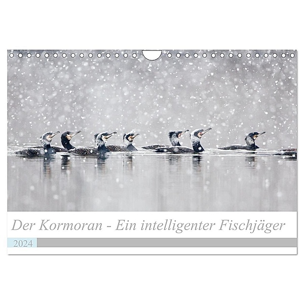 Der Kormoran - Ein intelligenter Fischjäger (Wandkalender 2024 DIN A4 quer), CALVENDO Monatskalender, Wilfried Martin