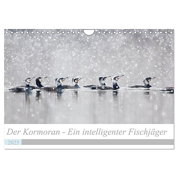 Der Kormoran - Ein intelligenter Fischjäger (Wandkalender 2025 DIN A4 quer), CALVENDO Monatskalender, Calvendo, Wilfried Martin