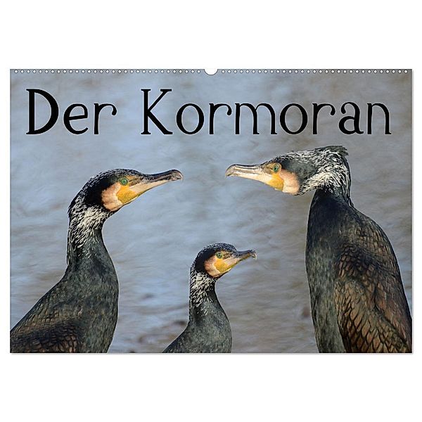 Der Kormoran (Wandkalender 2024 DIN A2 quer), CALVENDO Monatskalender, Rufotos