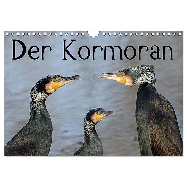 Der Kormoran (Wandkalender 2024 DIN A4 quer), CALVENDO Monatskalender, Rufotos