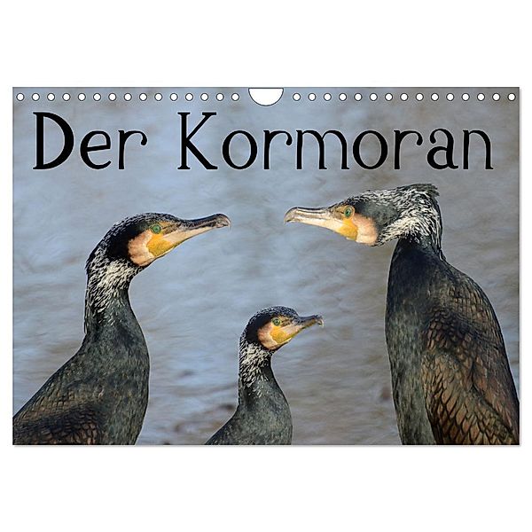 Der Kormoran (Wandkalender 2025 DIN A4 quer), CALVENDO Monatskalender, Calvendo, Rufotos