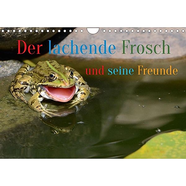 Der lachende Frosch und seine Freunde (Wandkalender 2023 DIN A4 quer), Rufotos