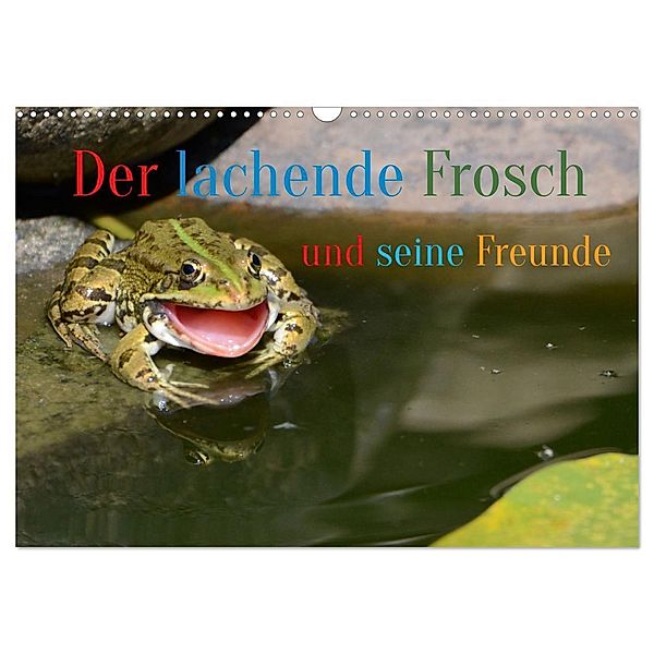 Der lachende Frosch und seine Freunde (Wandkalender 2024 DIN A3 quer), CALVENDO Monatskalender, Rufotos