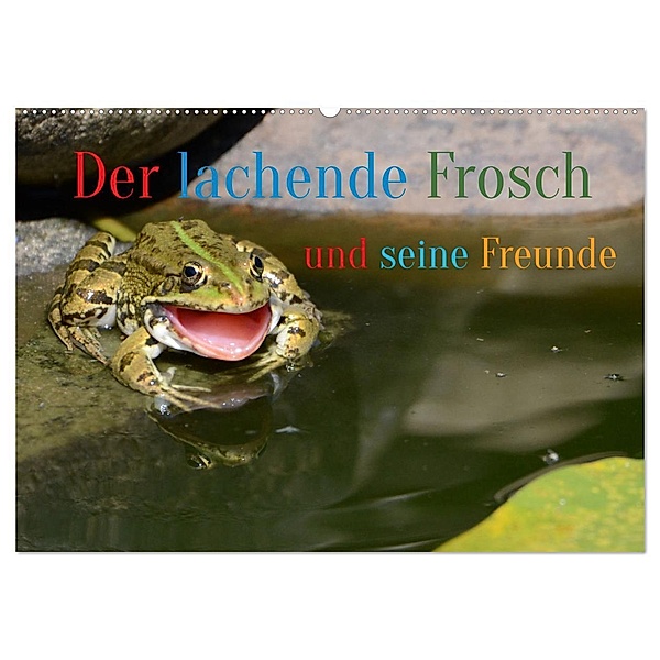 Der lachende Frosch und seine Freunde (Wandkalender 2024 DIN A2 quer), CALVENDO Monatskalender, Rufotos