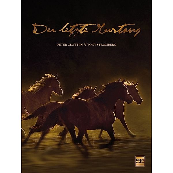 Der letzte Mustang, Peter Clotten, Tony Stromberg