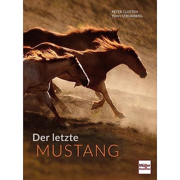 Der letzte Mustang, Peter Clotten, Tony Stromberg