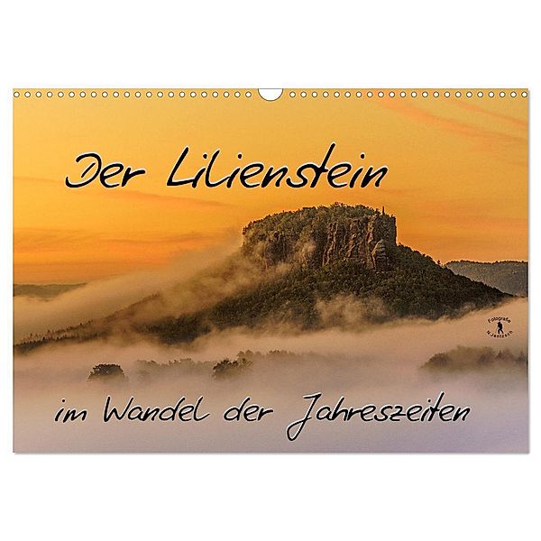 Der Lilienstein im Wandel der Jahreszeiten (Wandkalender 2024 DIN A3 quer), CALVENDO Monatskalender, Norbert Jentzsch