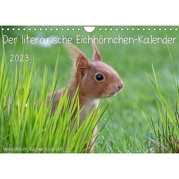 Der literarische Eichhörnchen-Kalender (Wandkalender 2023 DIN A4 quer), Heike Adam