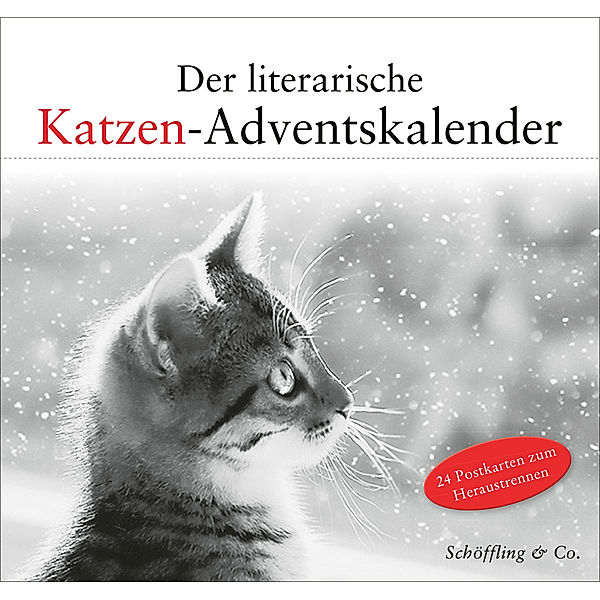 Der literarische Katzen-Adventskalender, Julia Bachstein