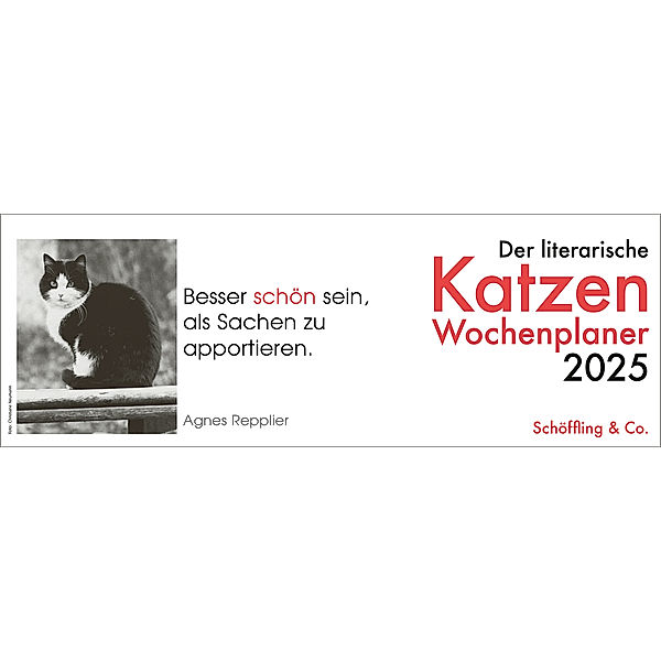 Der literarische Katzen Wochenplaner 2025, Julia Bachstein