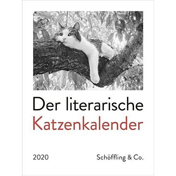 Der literarische Katzenkalender 2020