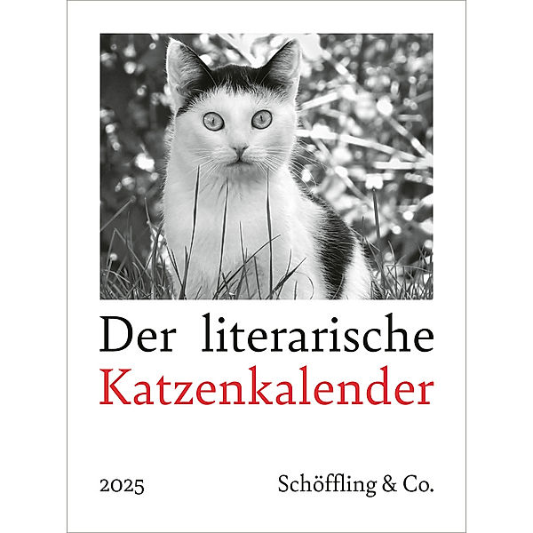 Der literarische Katzenkalender 2025, Julia Bachstein