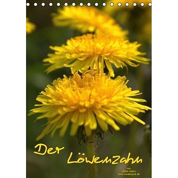 Der Löwenzahn / Geburtstagskalender (Tischkalender 2016 DIN A5 hoch), Ulrike Adam