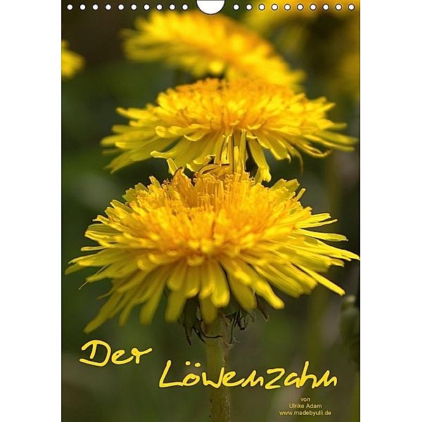 Der Löwenzahn / Geburtstagskalender (Wandkalender 2017 DIN A4 hoch), Ulrike Adam