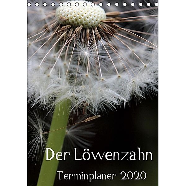 Der Löwenzahn-Terminplaner (Tischkalender 2020 DIN A5 hoch), Silvia Hahnefeld