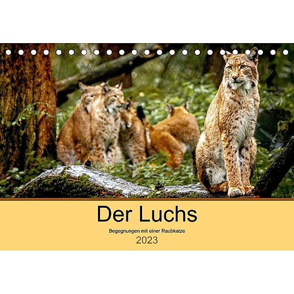 Der Luchs - Begegnungen mit einer Raubkatze (Tischkalender 2023 DIN A5 quer), Ralf Metzger