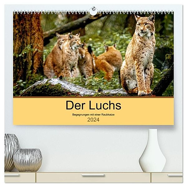 Der Luchs - Begegnungen mit einer Raubkatze (hochwertiger Premium Wandkalender 2024 DIN A2 quer), Kunstdruck in Hochglanz, Ralf Metzger