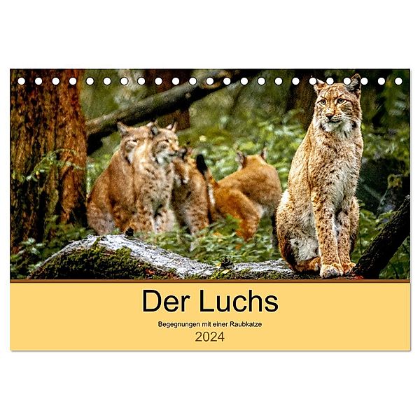 Der Luchs - Begegnungen mit einer Raubkatze (Tischkalender 2024 DIN A5 quer), CALVENDO Monatskalender, Ralf Metzger