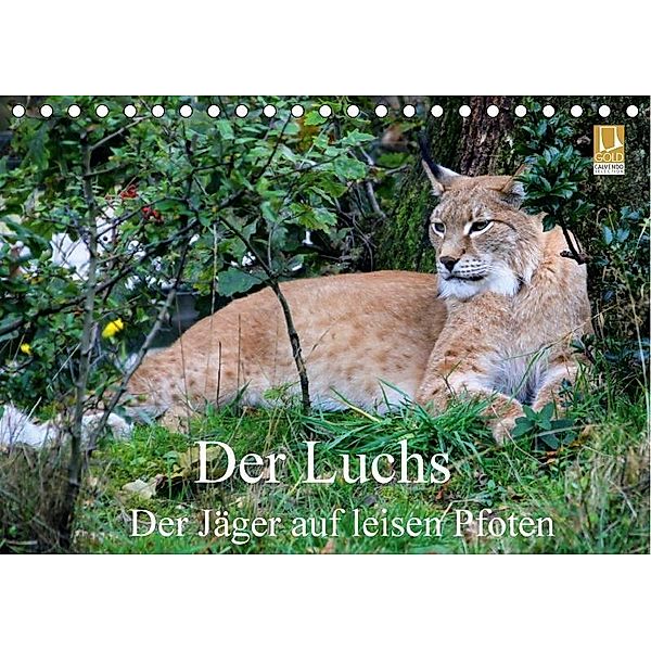 Der Luchs - Der Jäger auf leisen Pfoten (Tischkalender 2017 DIN A5 quer), Arno Klatt