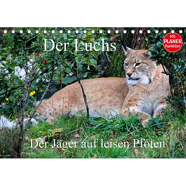 Der Luchs - Der Jäger auf leisen Pfoten (Tischkalender 2019 DIN A5 quer), Arno Klatt