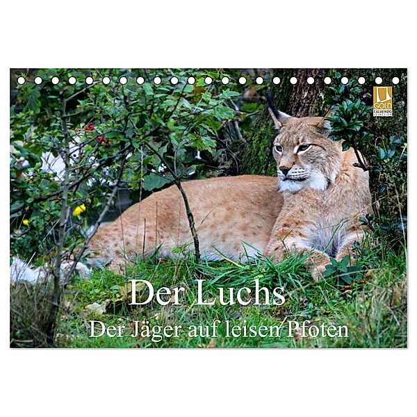 Der Luchs - Der Jäger auf leisen Pfoten (Tischkalender 2024 DIN A5 quer), CALVENDO Monatskalender, Arno Klatt