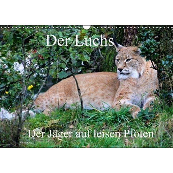 Der Luchs - Der Jäger auf leisen Pfoten (Wandkalender 2016 DIN A3 quer), Arno Klatt