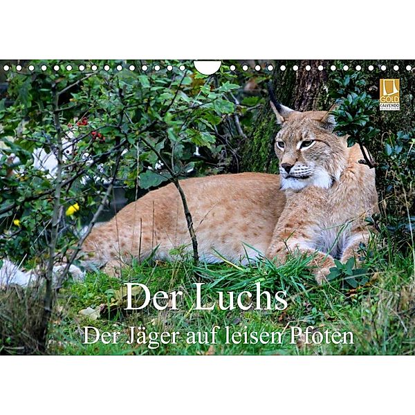 Der Luchs - Der Jäger auf leisen Pfoten (Wandkalender 2023 DIN A4 quer), Arno Klatt