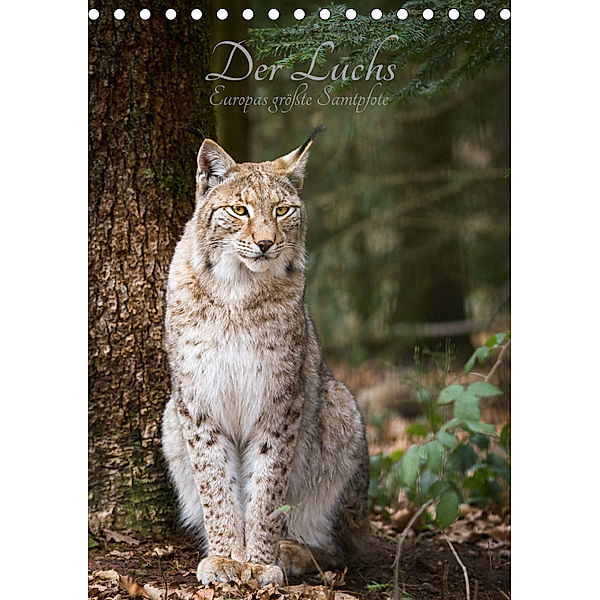 Der Luchs - Europas grösste Samtpfote (Tischkalender 2019 DIN A5 hoch), Cloudtail the Snow Leopard