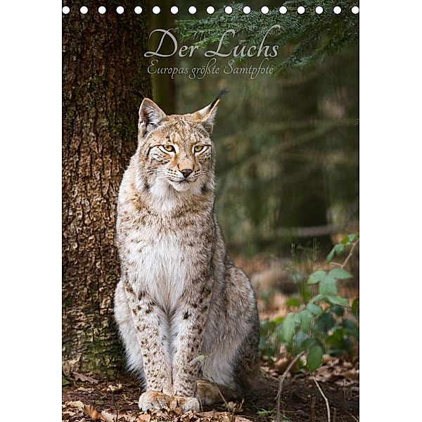 Der Luchs - Europas größte Samtpfote (Tischkalender 2021 DIN A5 hoch), Cloudtail the Snow Leopard