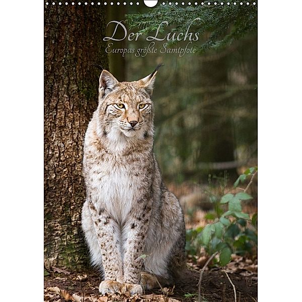 Der Luchs - Europas größte Samtpfote (Wandkalender 2018 DIN A3 hoch) Dieser erfolgreiche Kalender wurde dieses Jahr mit, Cloudtail the Snow Leopard